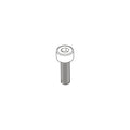 Vis TCHC M3x10mm